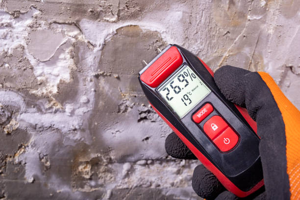 Attic Mold Removal in Stock Island, FL