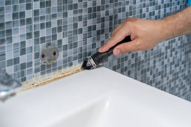 Best Fast Mold Removal  in Stock Island, FL